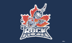 2013 Toronto Rock Tower Flag